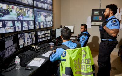 Proin Eu Augue Efficitur