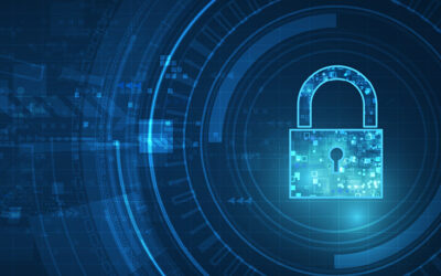 Maecenas Fringilla Augue